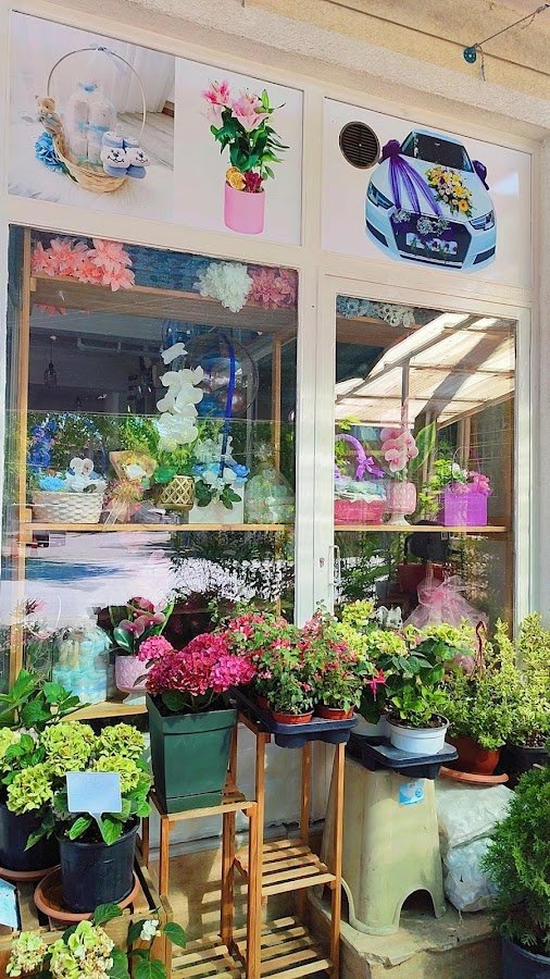 Misal Çiçek Evi
