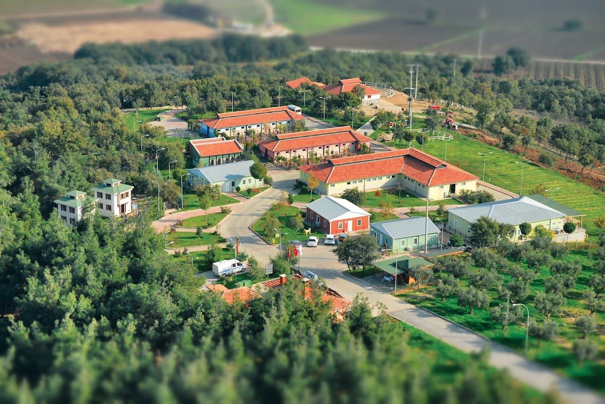 Osmangazi Belediyesi Sahipsiz Hayvanlar Doğal Yaşam Merkezi