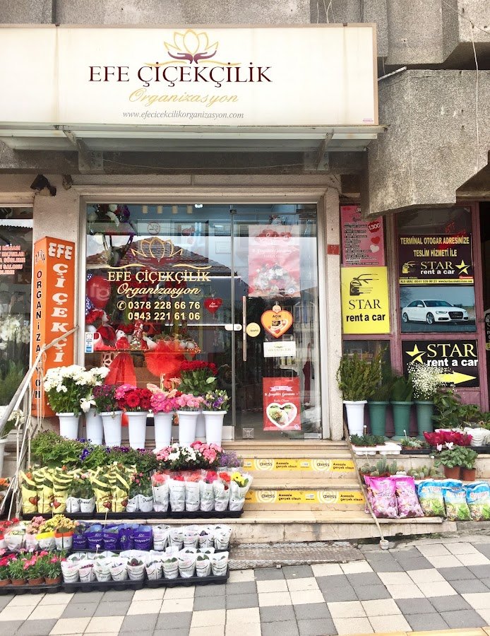 Efe Çiçekçilik Organizasyon