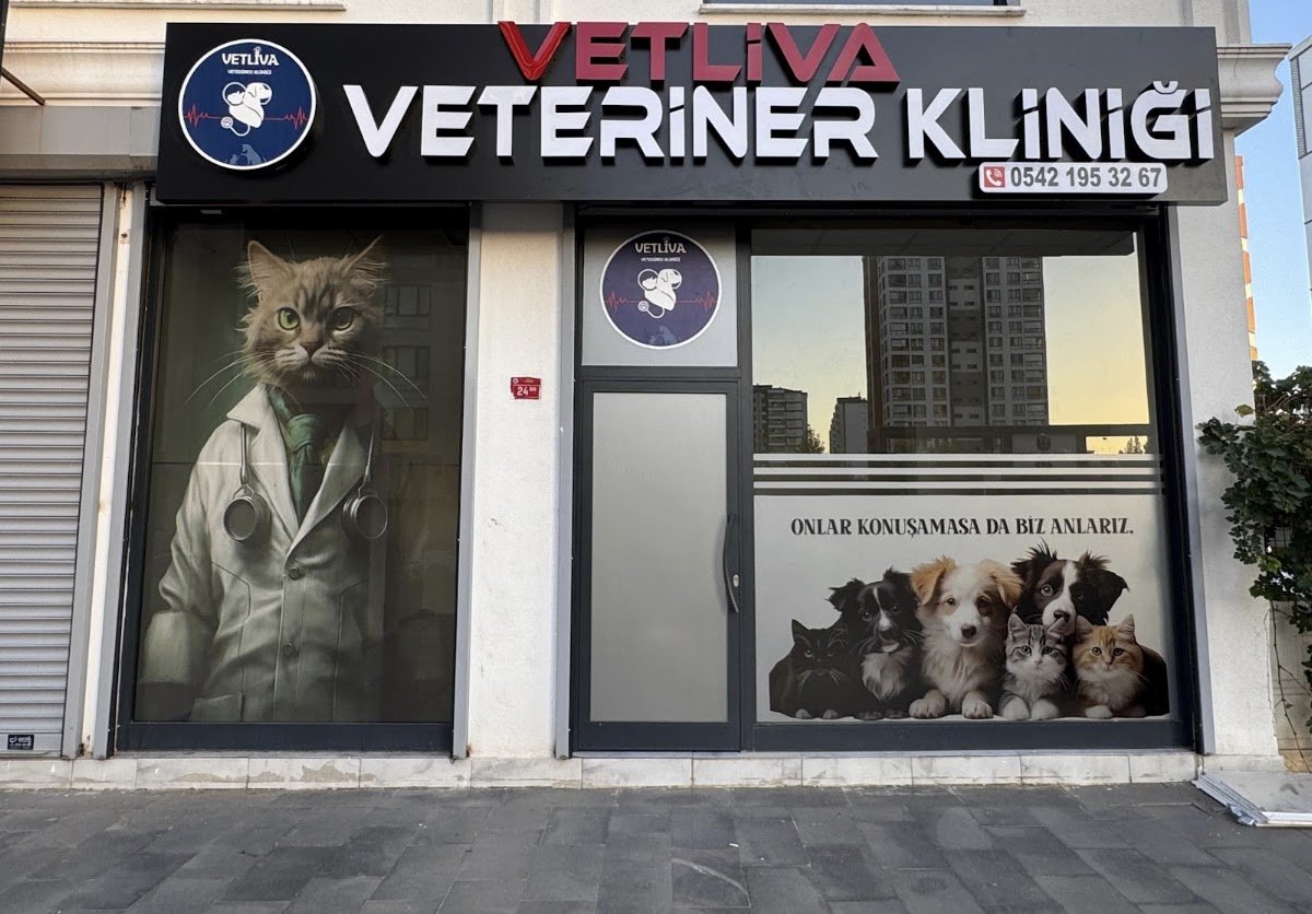 Vetliva Veteriner Kliniği-7 / 24 Acil