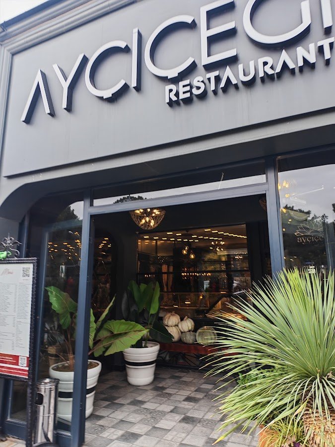 Ayçiçeği Comfort