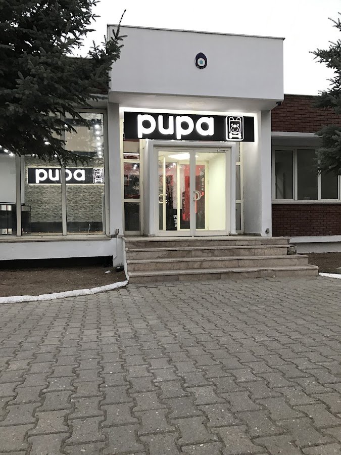 Pupa Mama