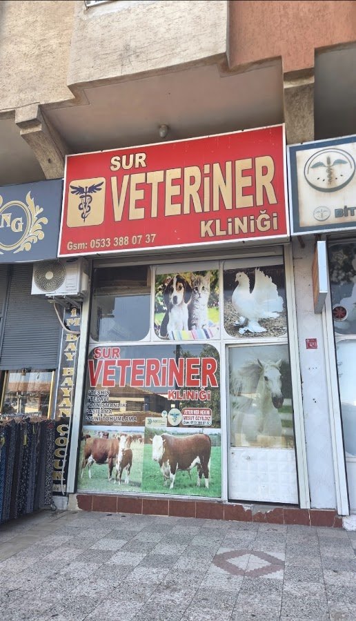 Sur Veteriner Kliniği