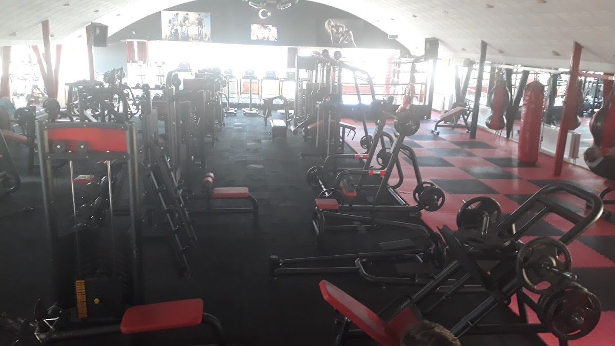 Şampiyonlar Spor Kulübü