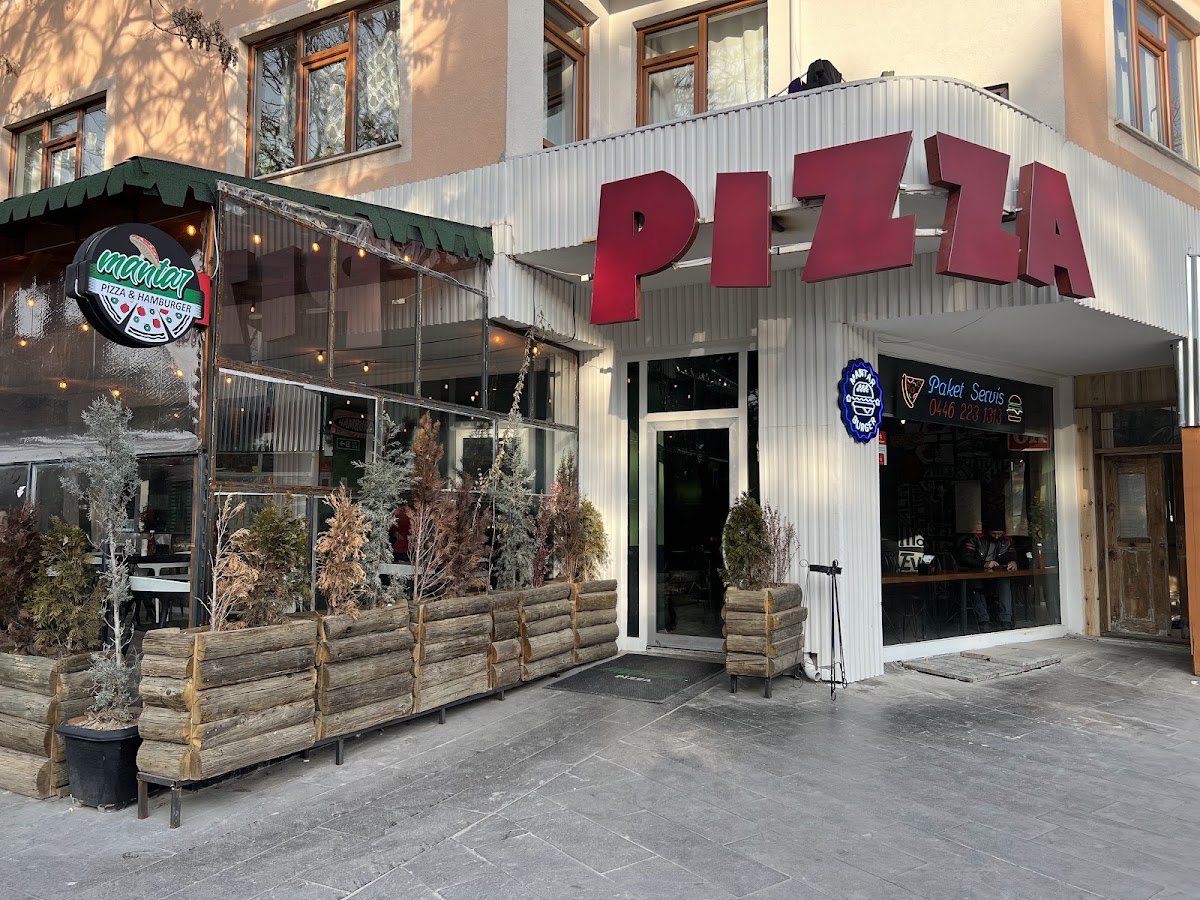 Mantar Pizza