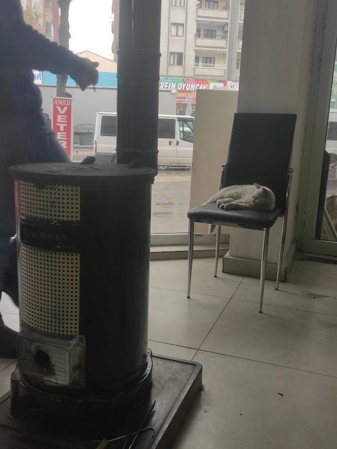 Amed Kızılkaya Veteriner Klinği
