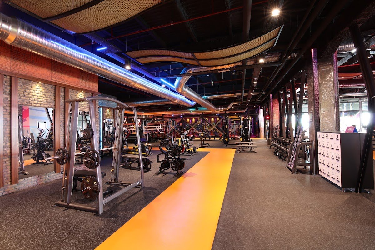 Gymfıt Vega Outlet