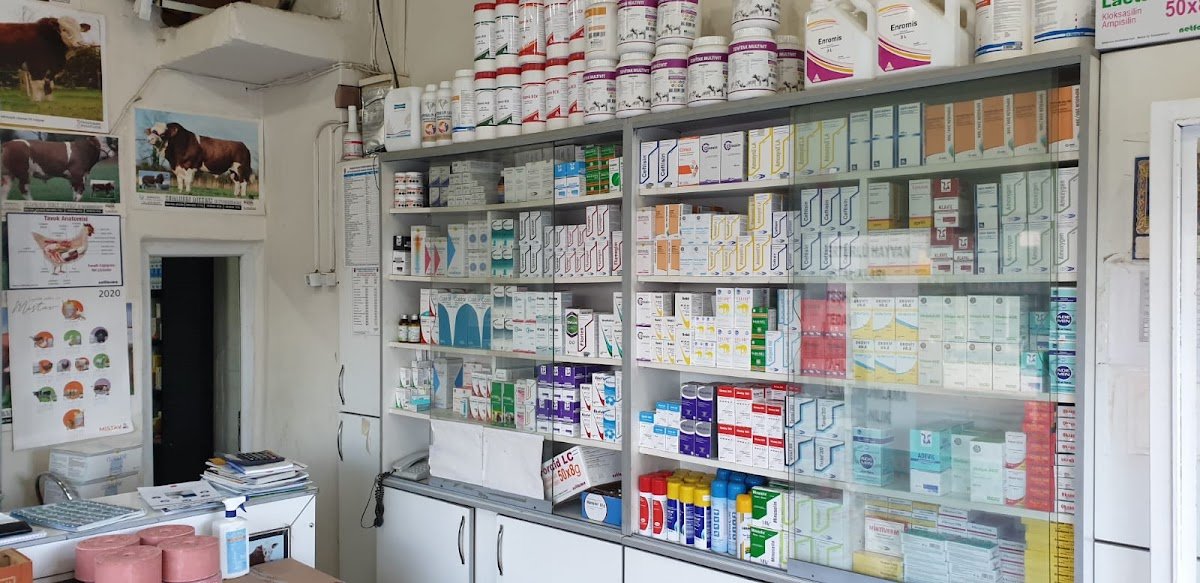 Dilan Veteriner Kliniği