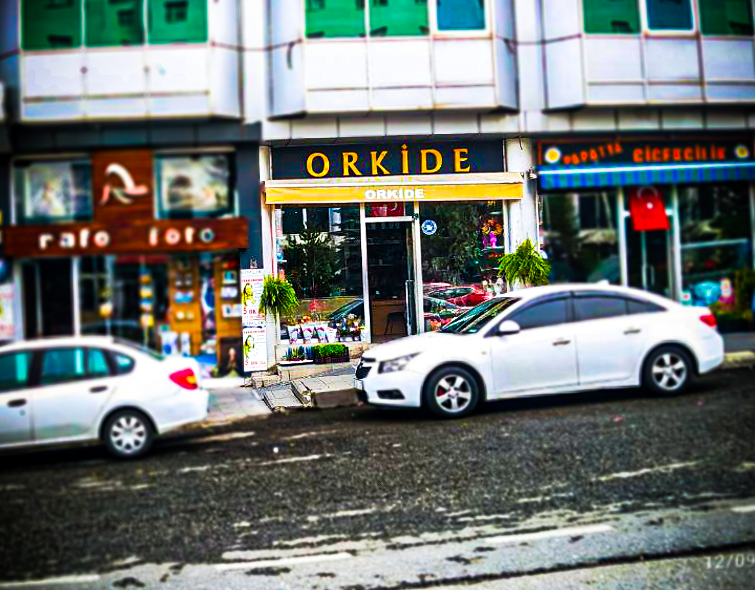 Erzurum Orkide Çiçekçilik