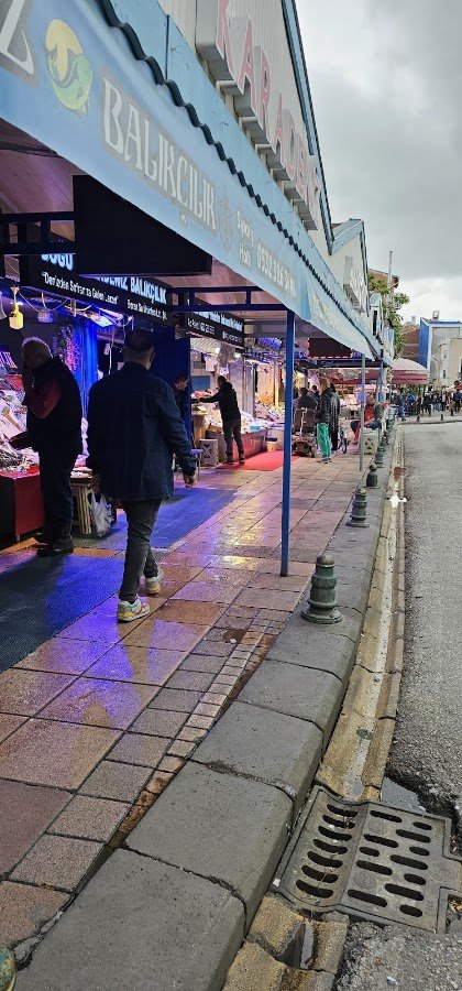 Doğu Karadeniz Balıkçılık