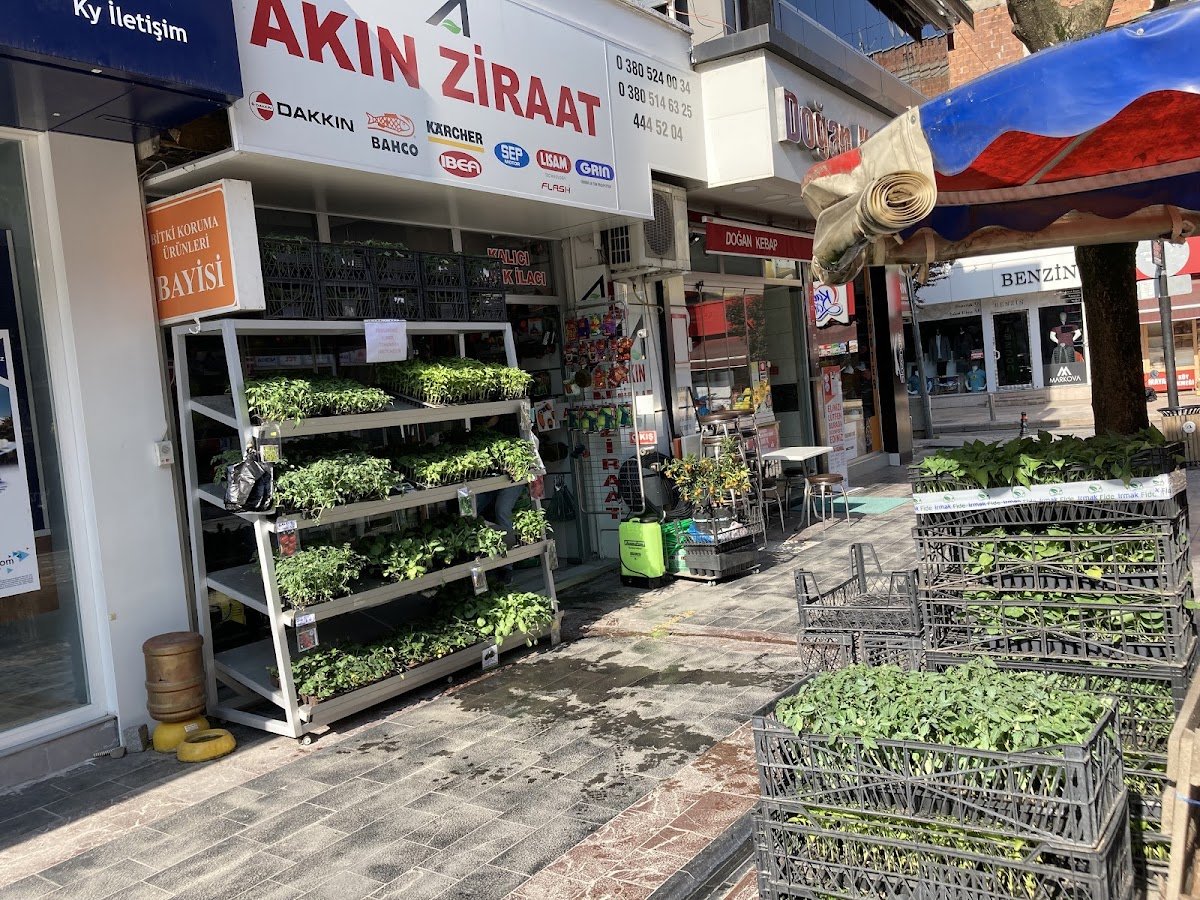 Şok Market