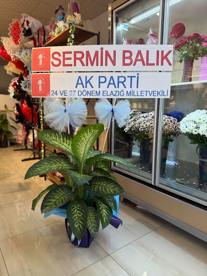 Deriko Çiçekçilik-Elazığ
