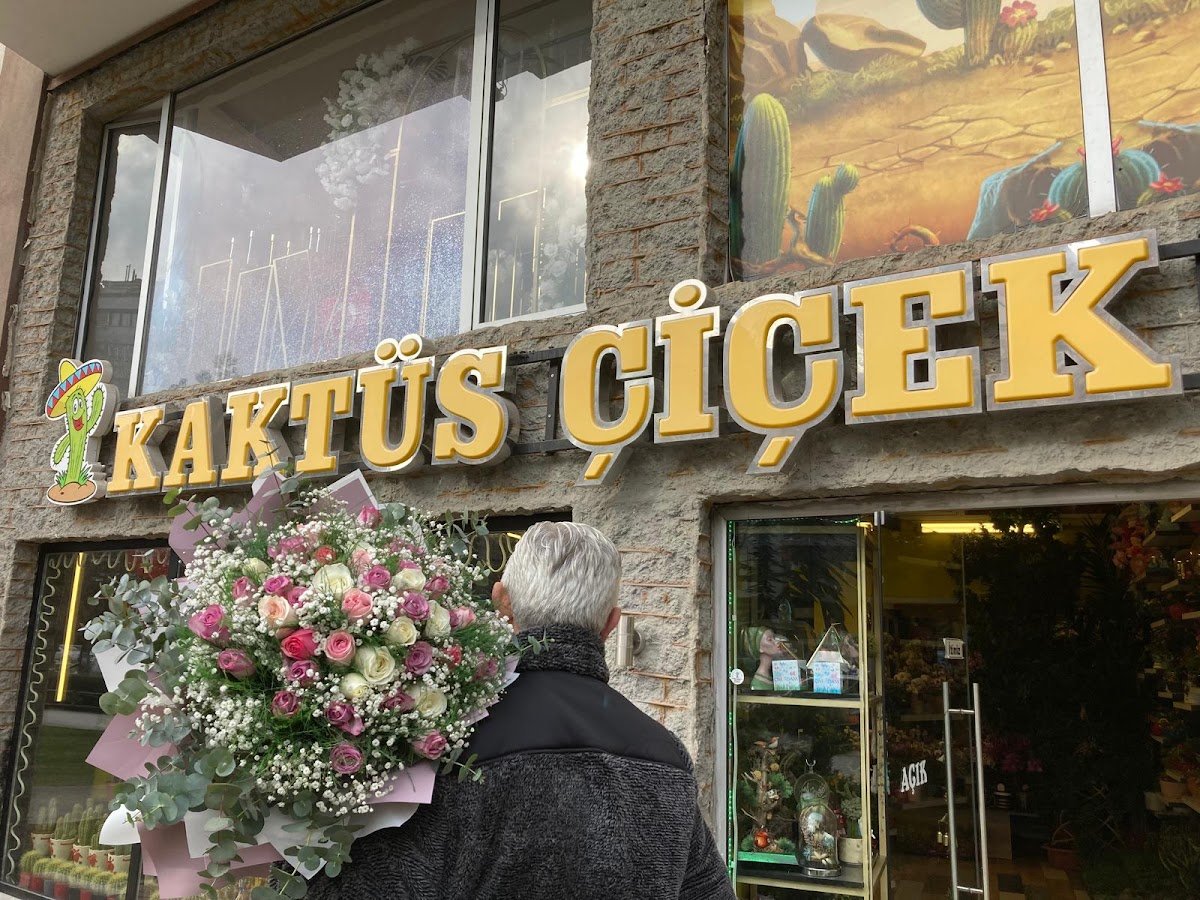 Kaktüs Çiçek