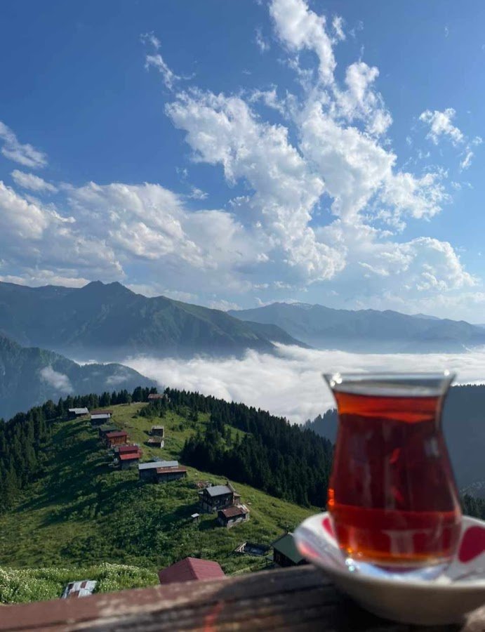 Montana Travel Turizm