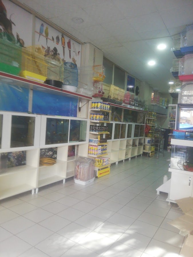 Amed Pet Shop