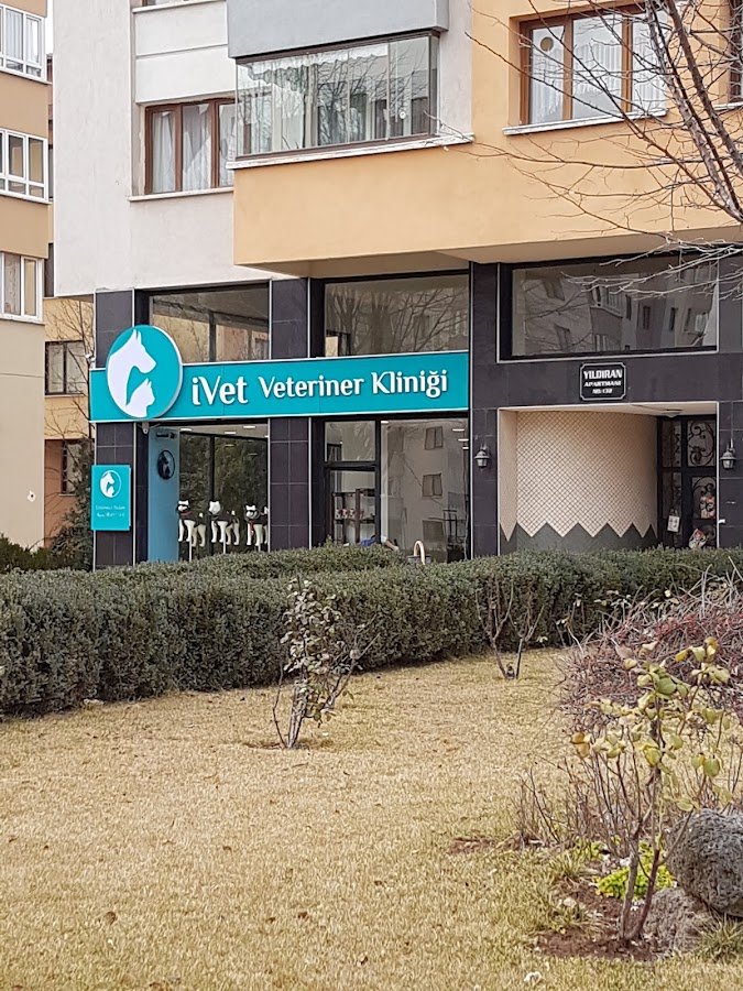 İvet Veteriner Kliniği