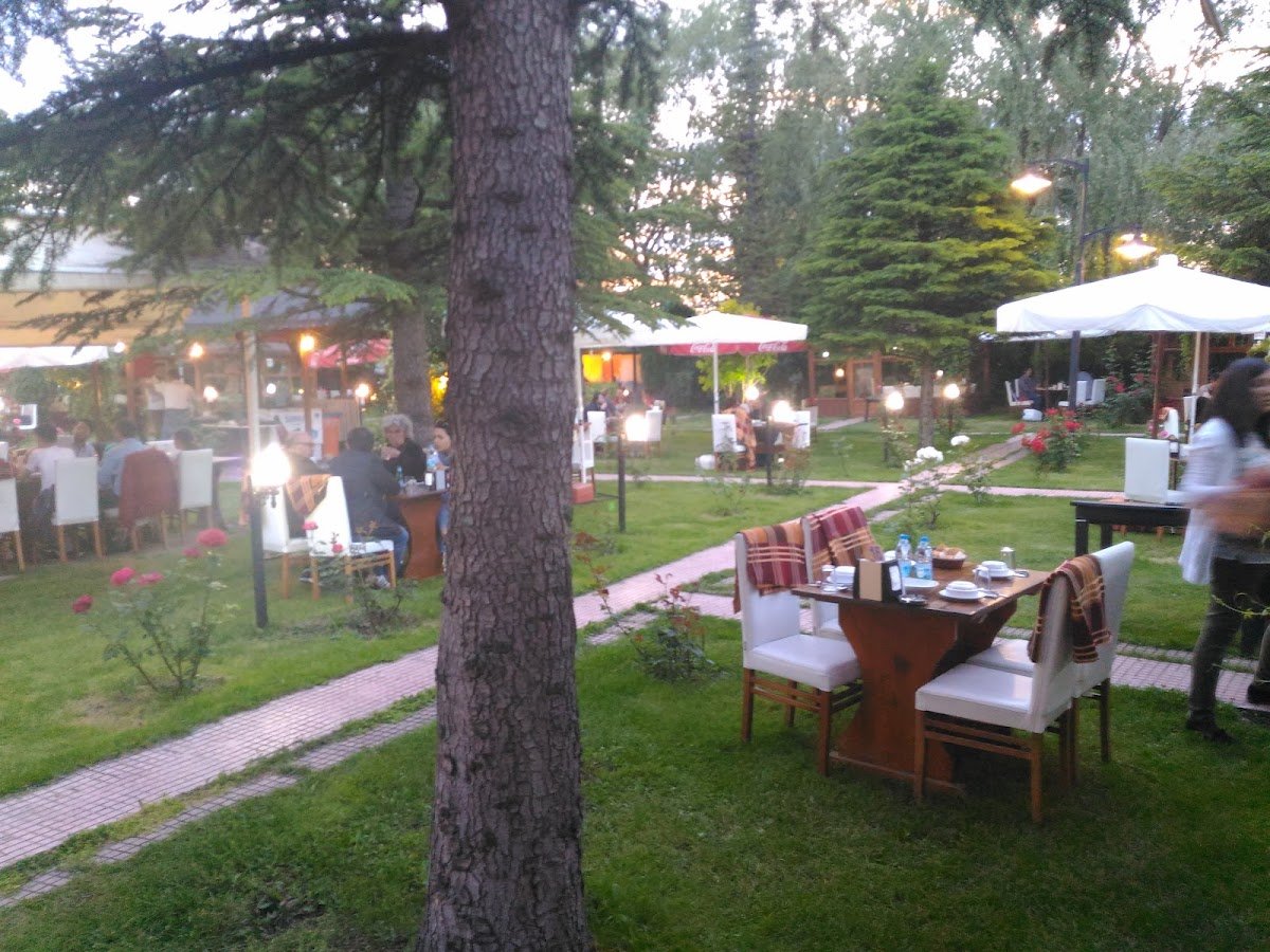 Söğütönü Alabalık