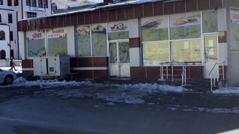Güney Unlu Mamuller