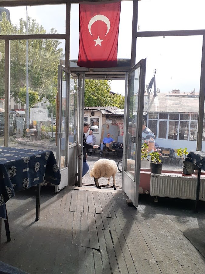 Temelli Kıraathanesi