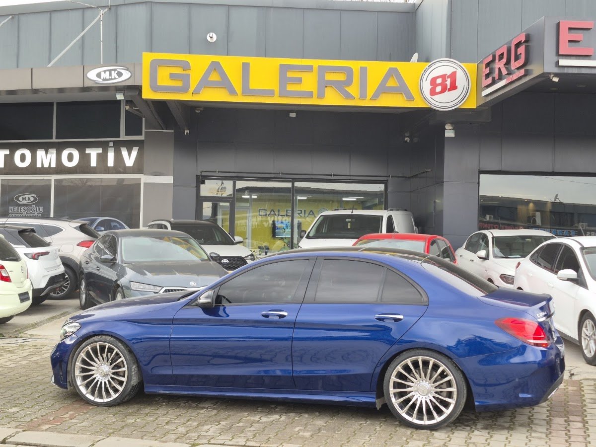 Galeria81