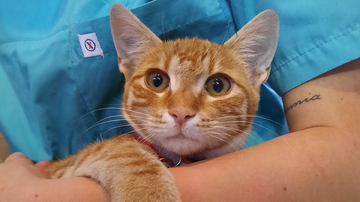 Gizli Bahçe Veteriner Kliniği