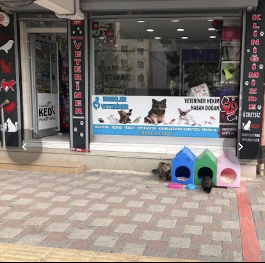 Esenler Veteriner Kliniği Acil Veteriner Hizmeti
