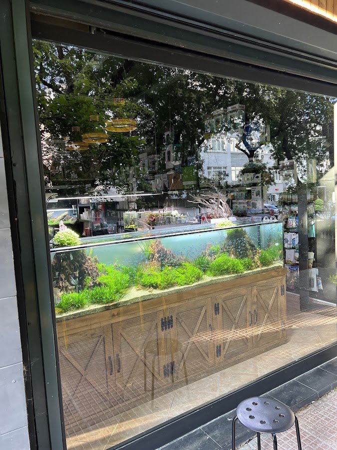 Adist Aquascaping Galeri