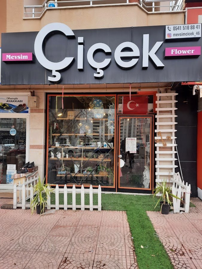 Mevsim Çiçek Flowers