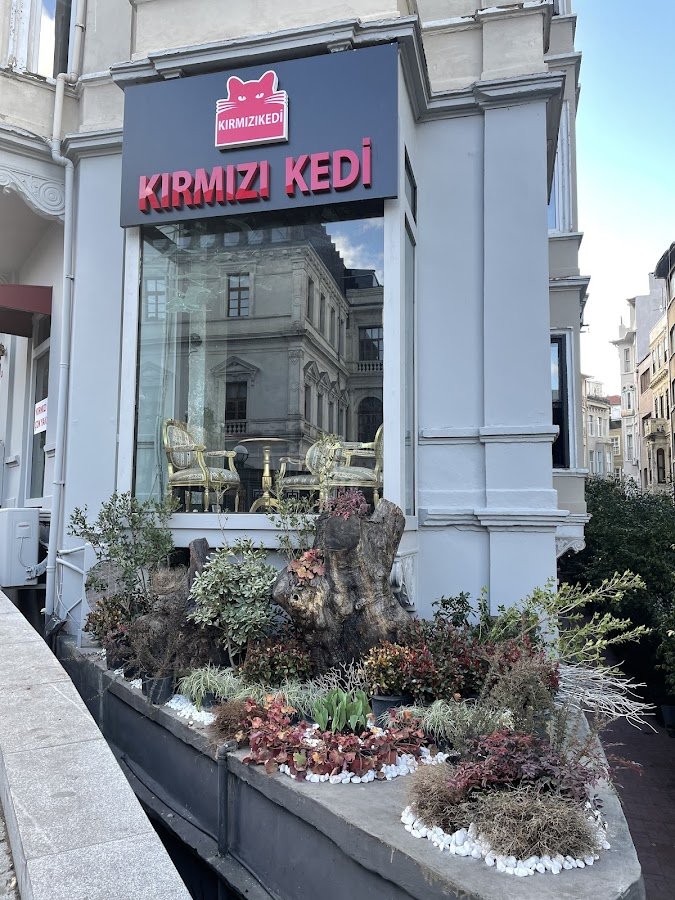 Kırmızı Kedi Pera