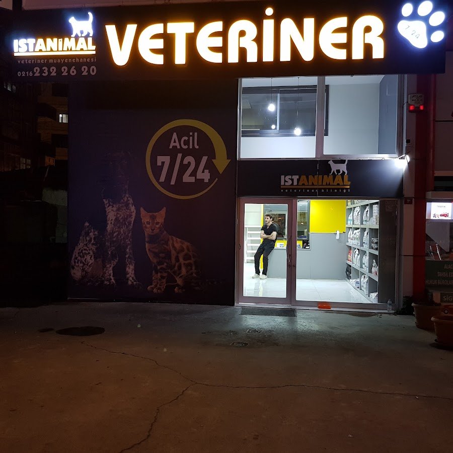 İstanimal Pendik 7 / 24 Acil Veteriner Kliniği