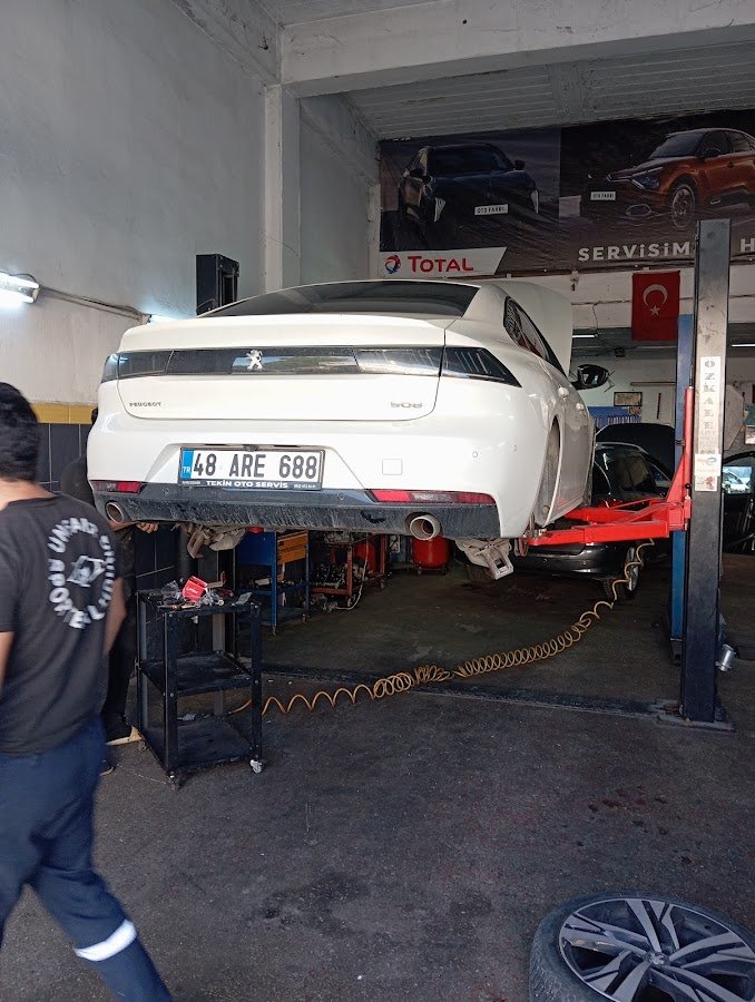 Peugeot & Citroen Servis