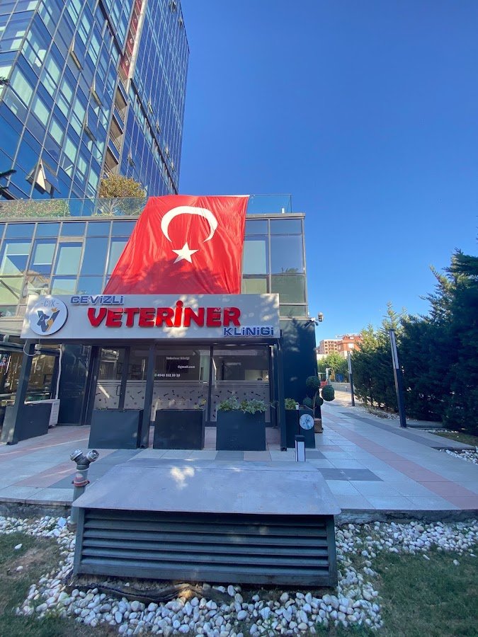 Cevizli Veteriner Kliniği 7 / 24 Acil Veteriner-Maltepe-Kedi,Köpek,Kuş Veteriner Kliniği