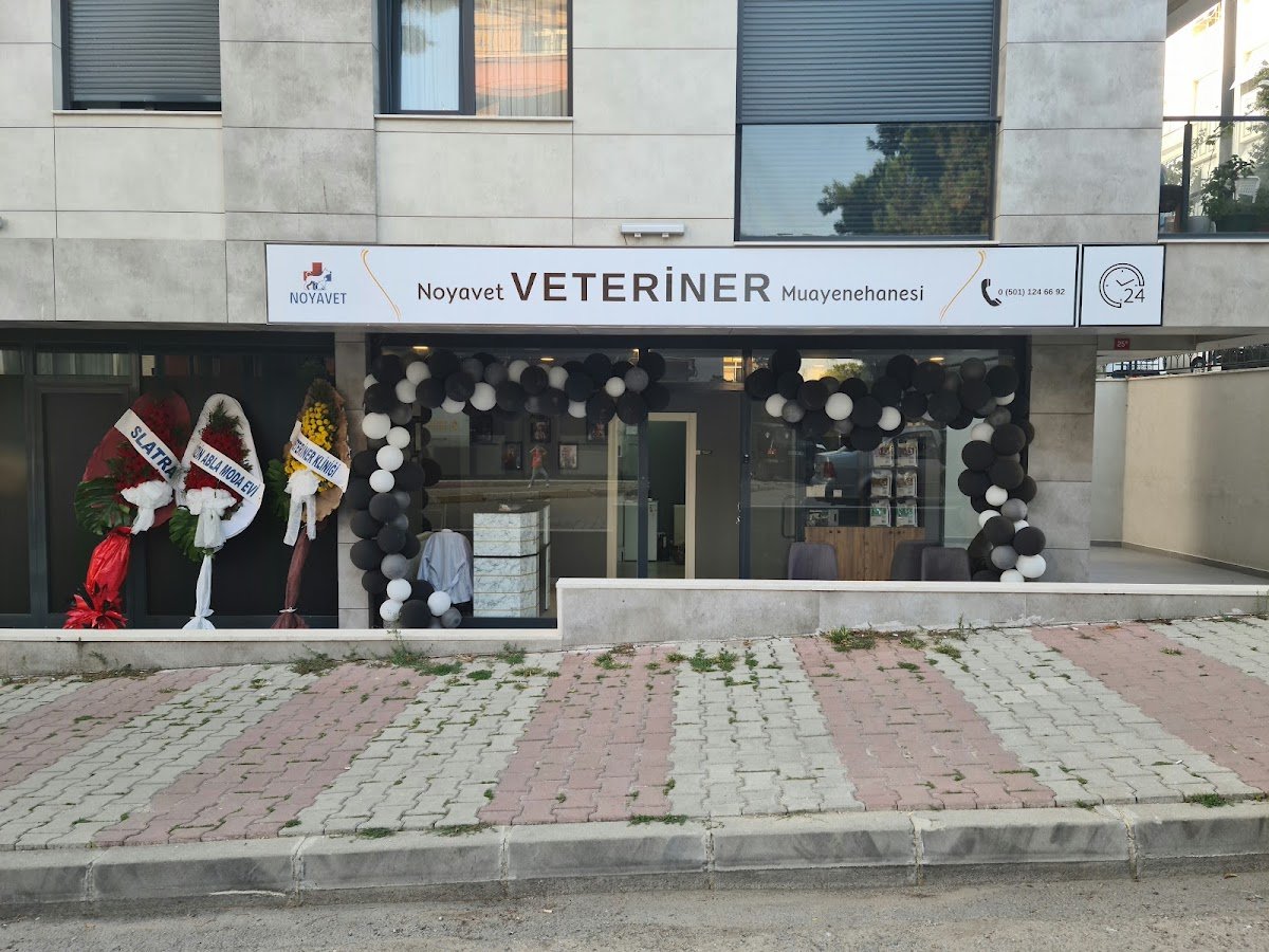 Noyavet | 7 / 24 Nöbetçi Veteriner Kliniği