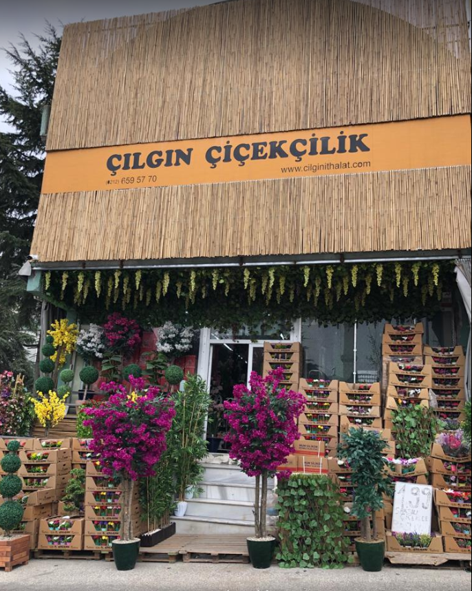 Çılgın Çiçekçilik