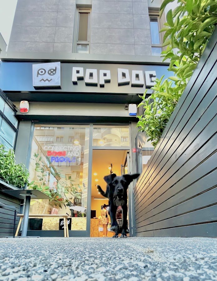 Popdog Caddebostan | Pet Store · Grooming · Café