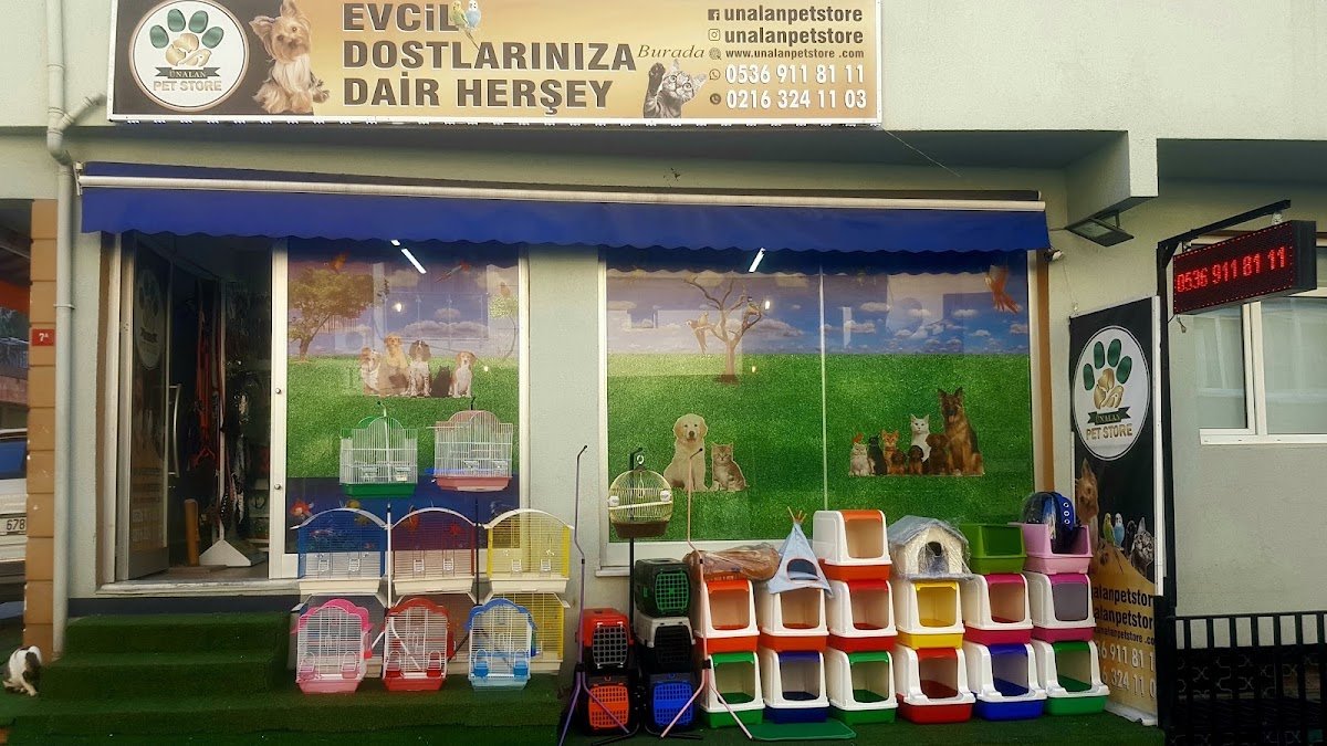 Ünalan Pet Store 🐶 Malezya Discus (Paket Servis 🚚 ) | Emaar Square Pet Shop
