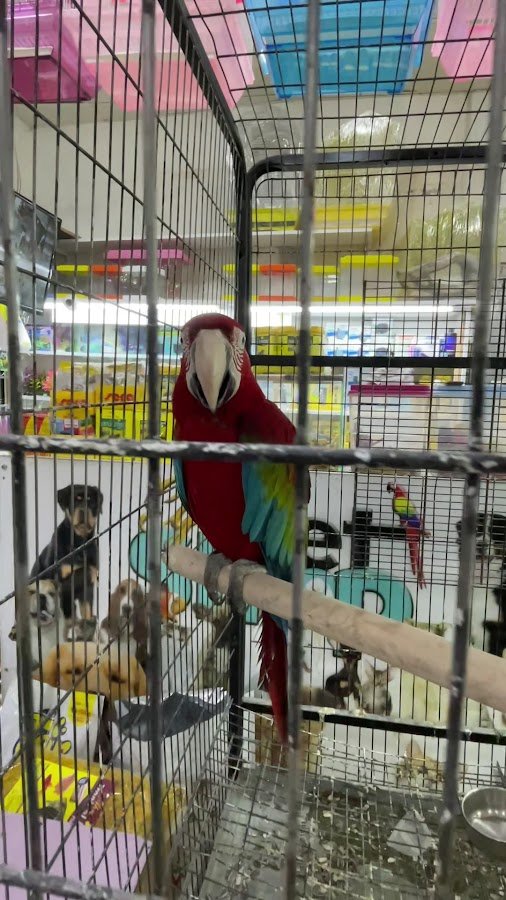 Ege Pet Shop
