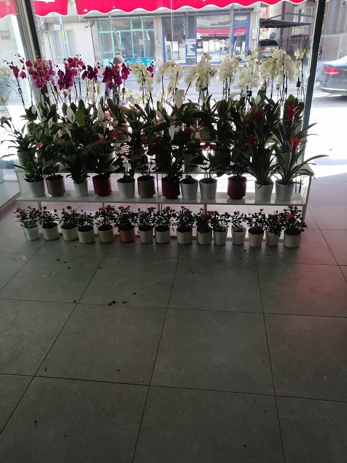 Çiçeksepeti