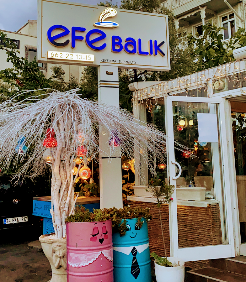 Efe Balık Yeşilköy