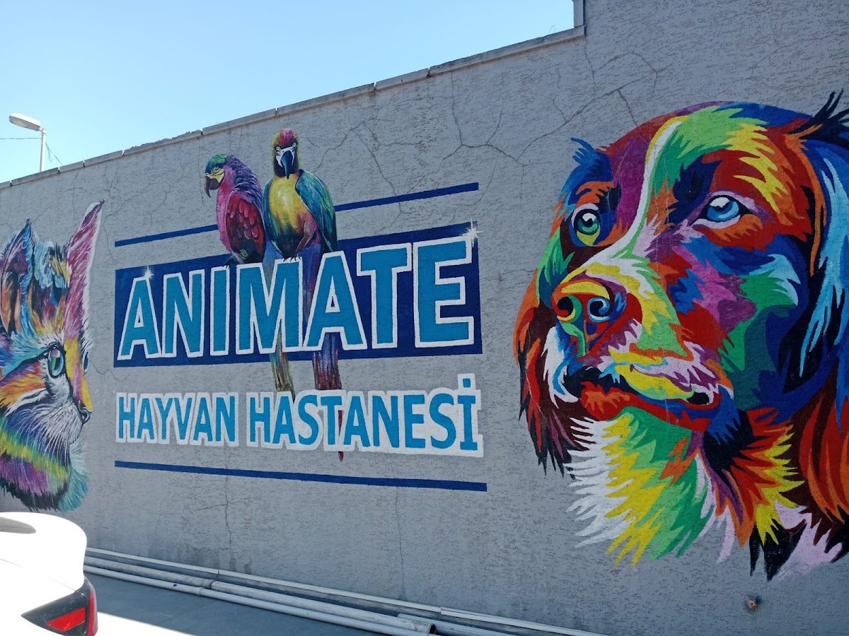 Anımate Hayvan Hastanesi