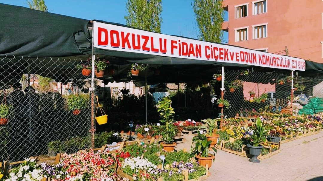 Dokuzlu Çiçek ve Meyve Fidanı Satış Serası