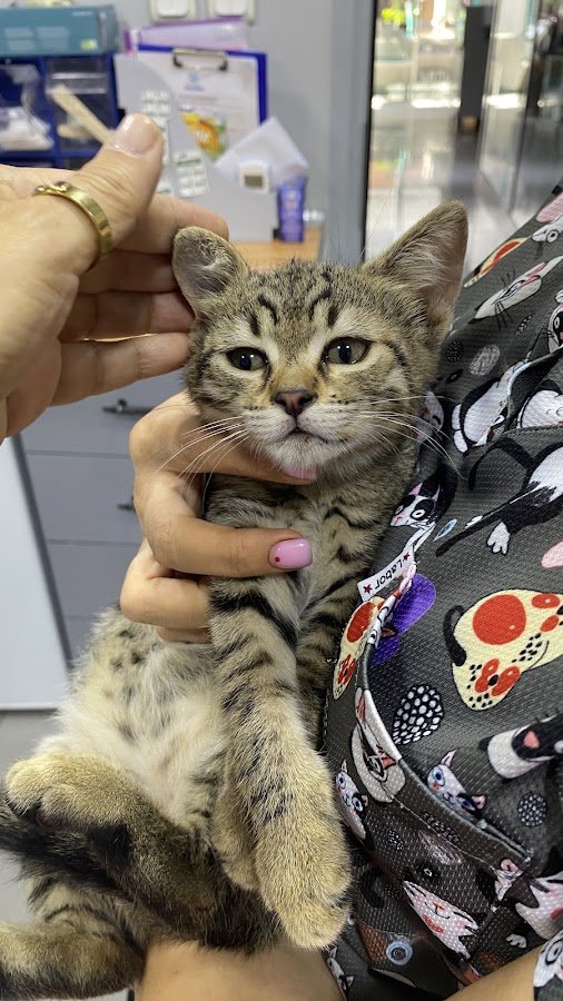 Dr.Paws Veteriner Kliniği