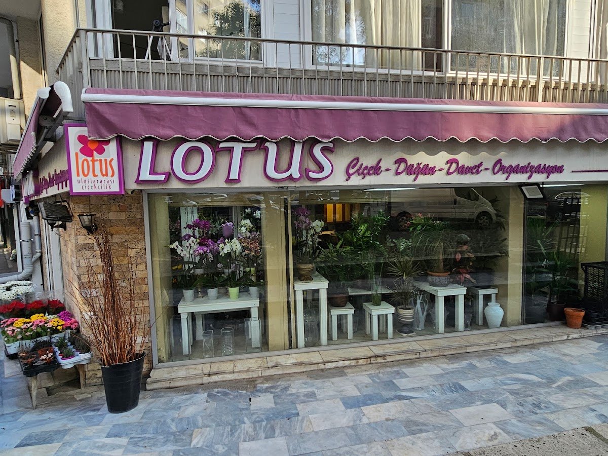 Lotus Çiçekçilik İzmir
