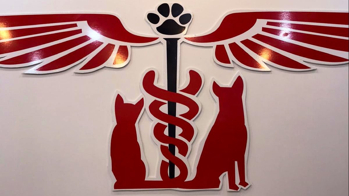 Vetmedica Üsküdar Veteriner Kliniği - 7 / 24 Acil Veteriner