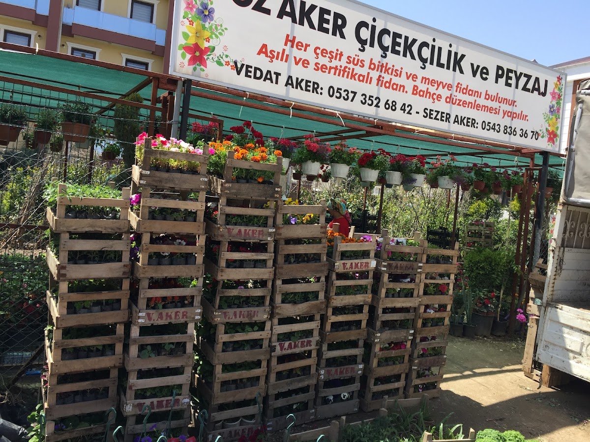 Öz Aker Çiçekcilik & Fidancılık ve Peyzaj