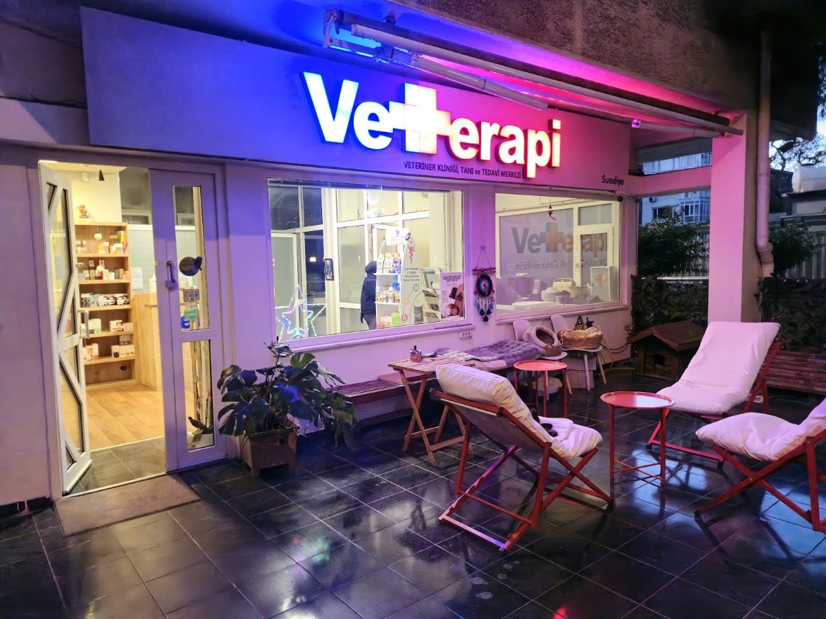 Vetterapi Suadiye Veteriner Kliniği