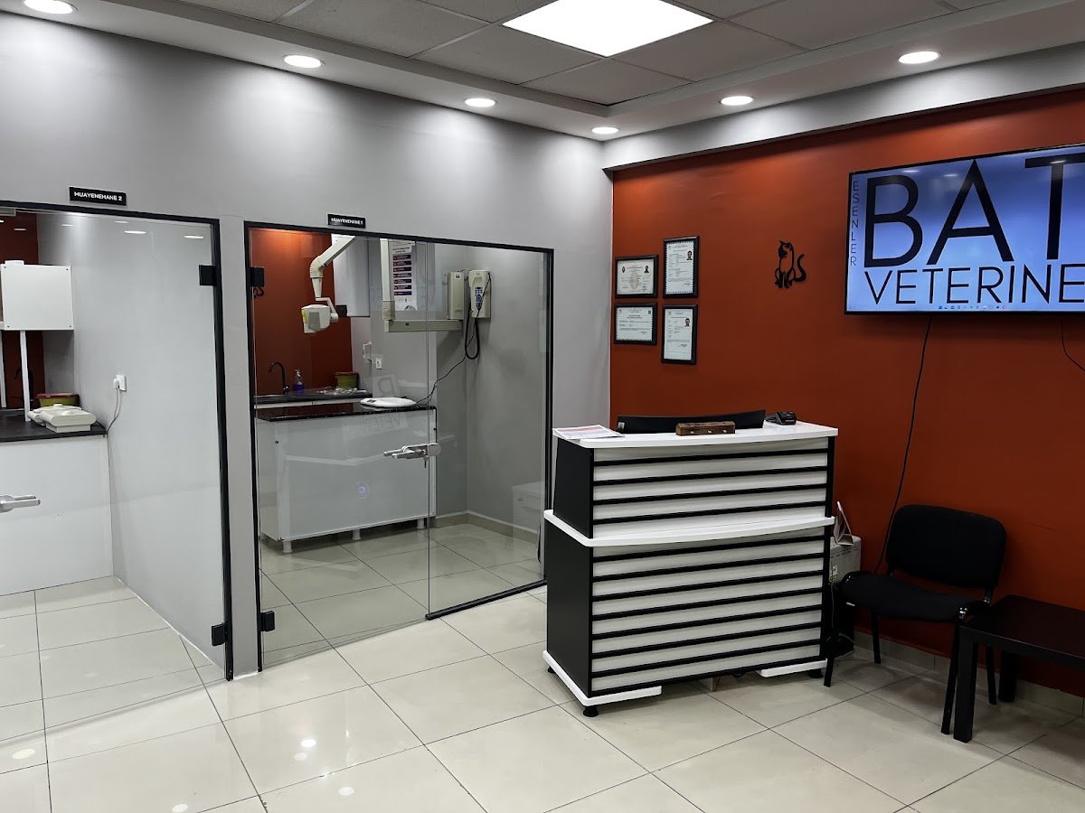 Esenler Batı Veteriner Kliniği 7 / 24 Acil