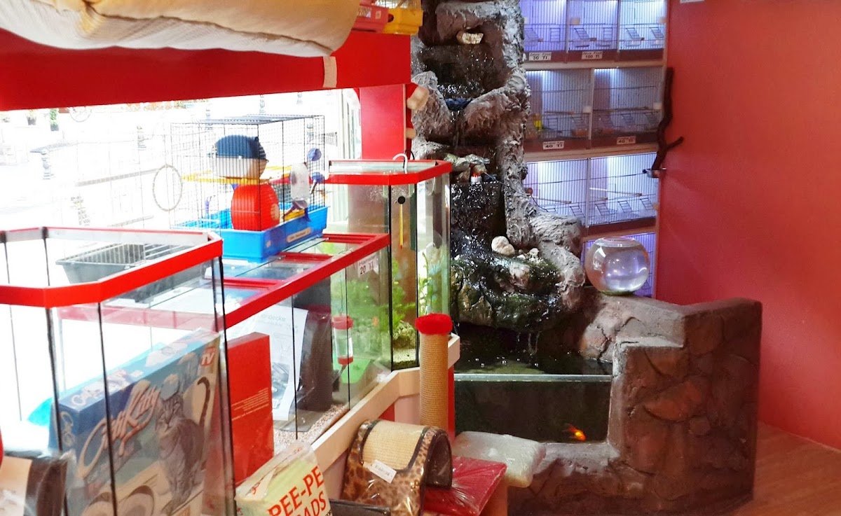 Pets Shop - Evcil Hayvan Mağazası