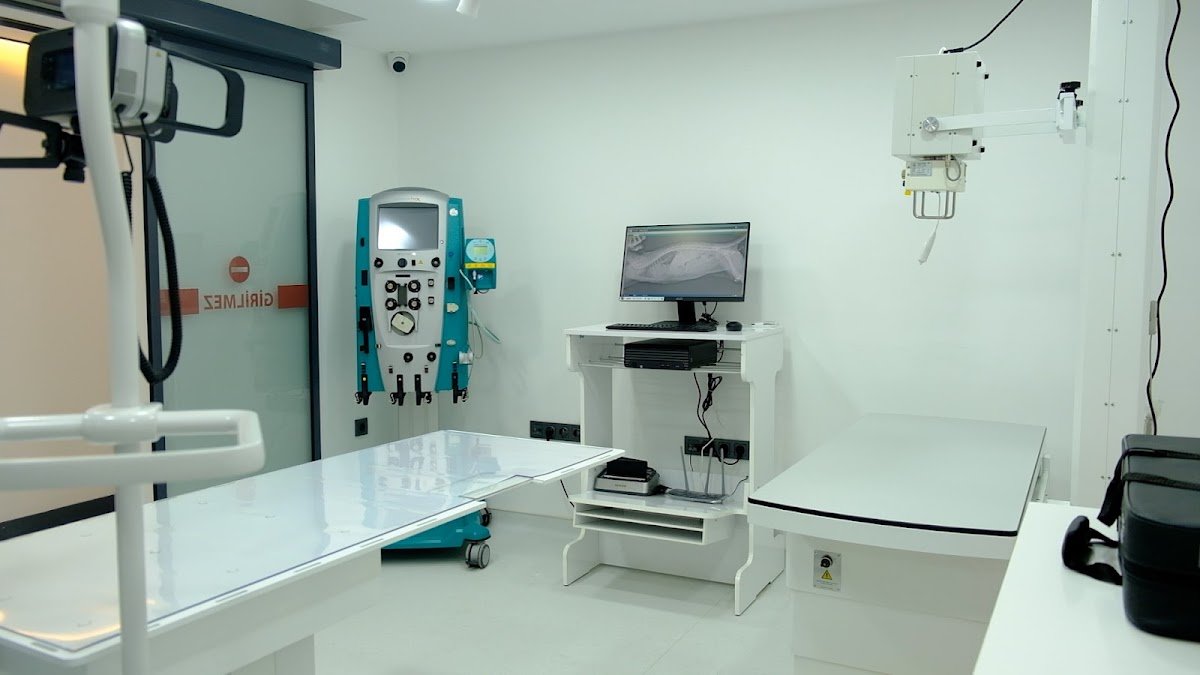 Hasvet Ratem İstanbul