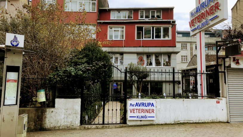 Gaziosmanpaşa Pati Avrupa Veteriner Polikliniği ,Gaziosmanpaşa Veteriner, Acil Veteriner Kedi Köpek